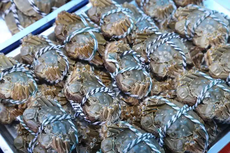 我区举办第五届特色农产品展销会