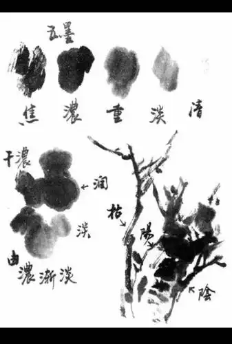 中国画墨法整理