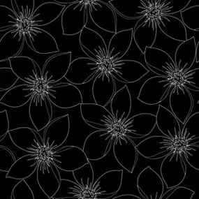 热带的黑色和白色芙蓉花无缝花纹照片