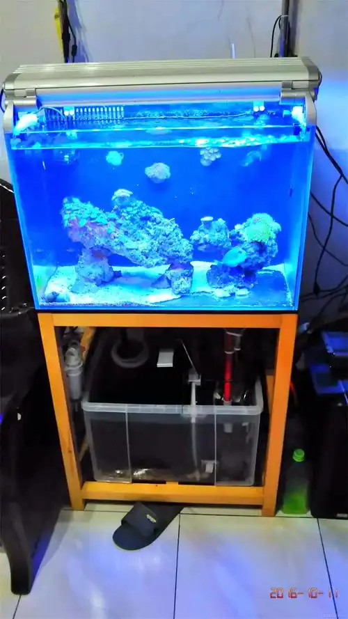 (河西小海地)出一套60*40*40背滤缸