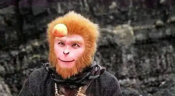 六小龄童_角色_西游记