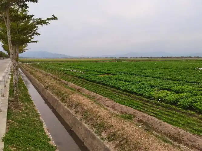 市农业农村局开展农田管护巡查工作