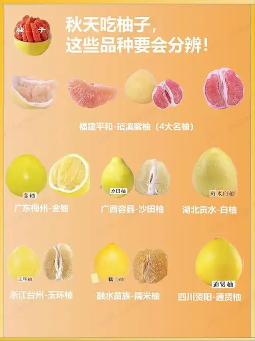 [一r]福建漳州-琯溪蜜柚柚子种类繁多,育成了三红