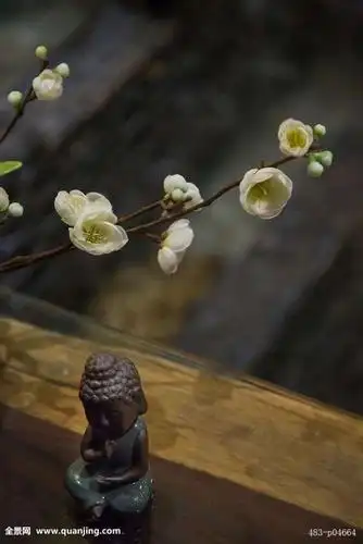 禅意,古风,意境,静