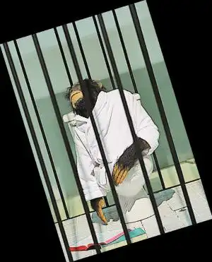 隔着囚笼审视"自己"的人生