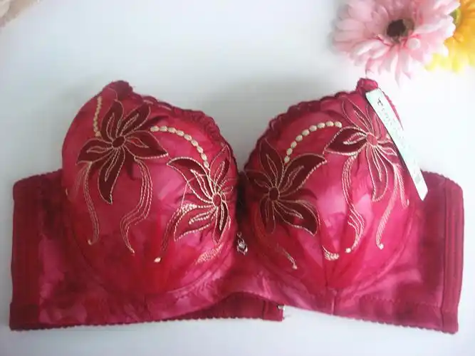 内衣批发厂家直销c杯薄款印花绣花风车花聚拢调整型秋冬新款文胸