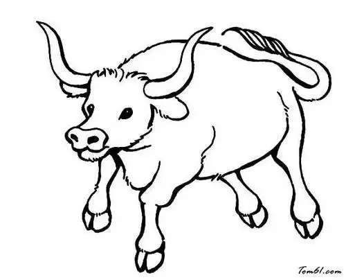 凶猛的牛图片简笔画图片少儿图库中国儿童资源网