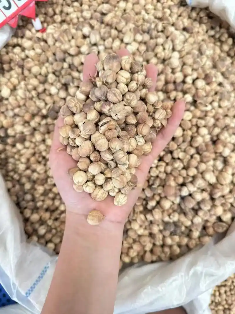 特级白寇出100件#香料