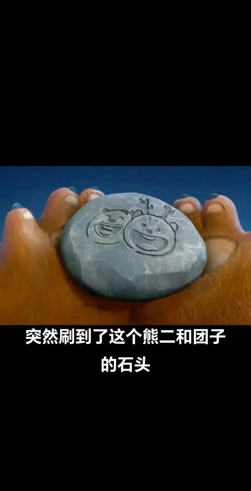 闲的无聊,画了一个团子和熊二的石头.#手绘石头画 #熊出没  - 抖音