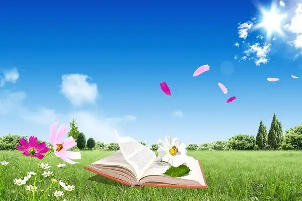 简洁清爽开题报告ppt模板