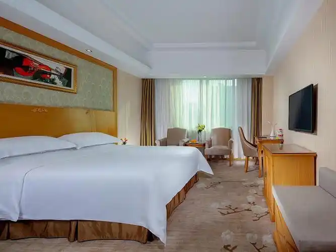 维也纳国际酒店(湖南岳阳火车站岳阳楼店)