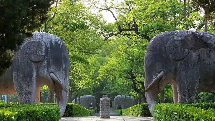 明孝陵神道石像生石象