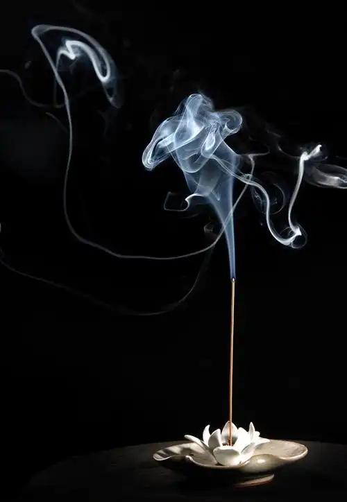 禅诗精选十首(意境最美的十首禅诗)