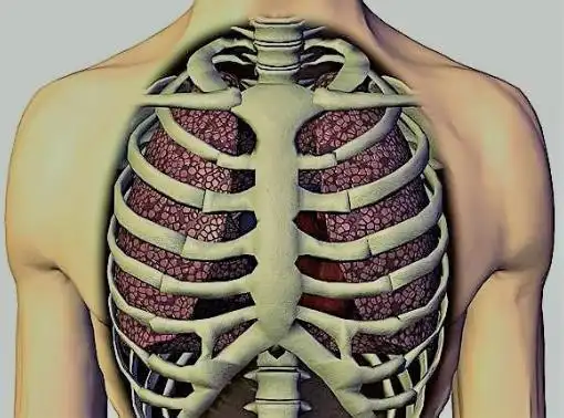 乳腺纤维瘤吃中药能不能好 什么中药可以治疗乳腺纤维瘤