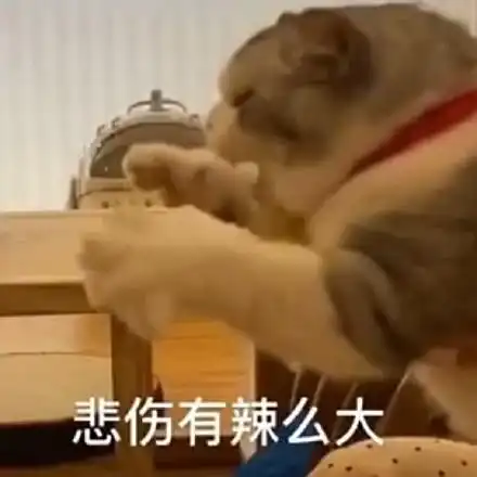 悲伤有辣么大(猫咪表情包)_有辣_猫咪表情