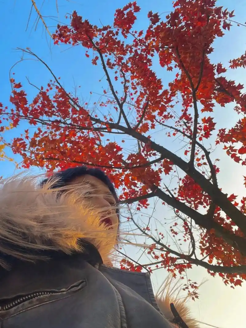 胡图图我新买的巧克力呢  更新了发色,发现新发型