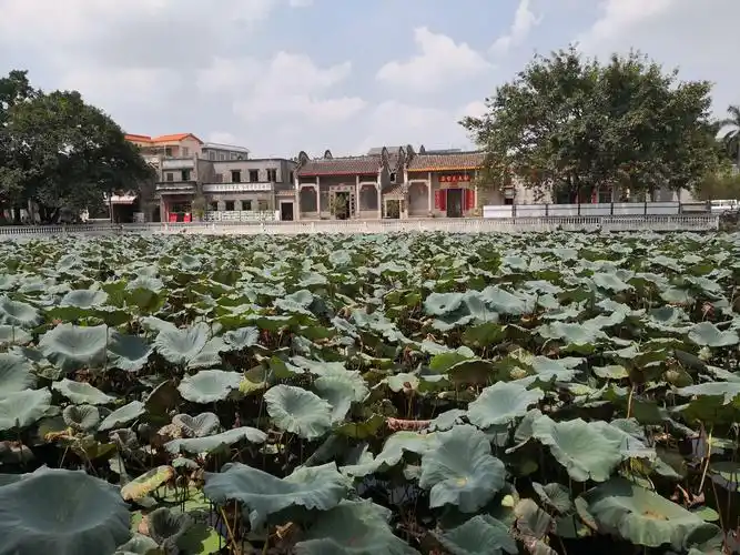 南海西樵松塘村