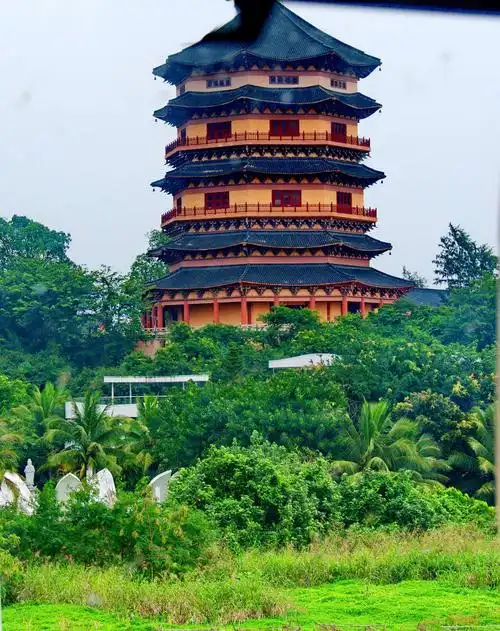 海南博鳌 兴 隆游 2019年1月22日