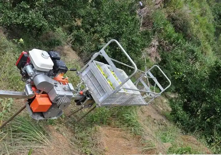 山地果园轨道运输车trivgy3gbyd300