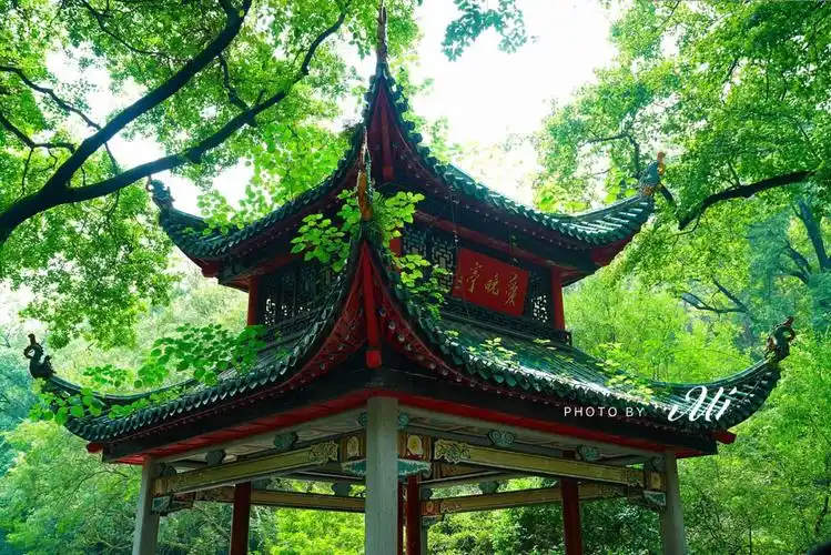 琪弦0731官网-长沙 | changsha