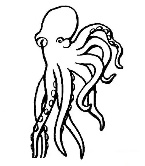章鱼海怪简笔画