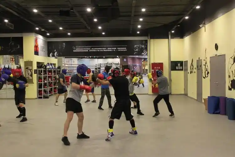 十月一号wba中国区教练员培训班在成都天图拳击俱乐部盛大开启