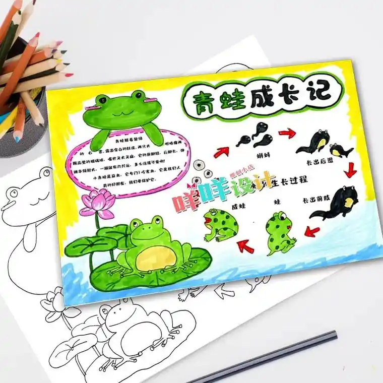 自然笔记小报青蛙成长过程观察蝌蚪日记线描涂色空白手抄报模板# - 抖