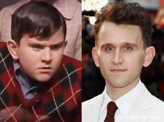 20年后,《哈利波特》电影中的孩子们都已经长大