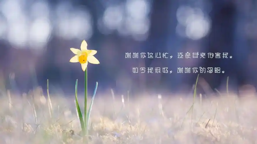 相关标签心凉透了句子说说心情图片上一图集:最凉不过人心,最贱不过