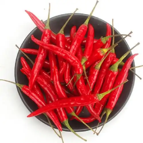 大荔专区泰椒1斤