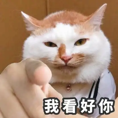 猫猫搞笑表情包图片