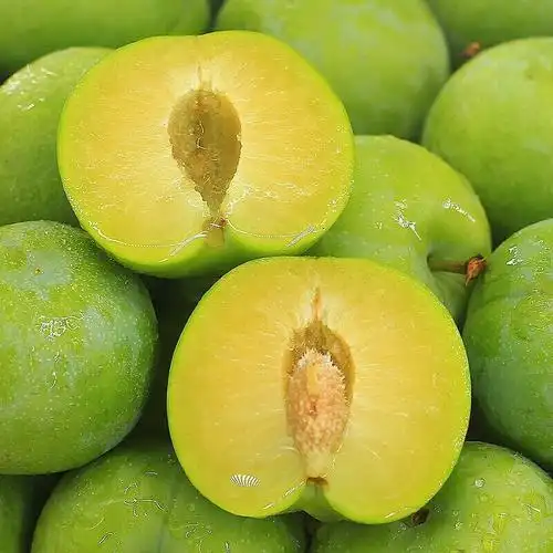 四川李子新鲜水果现摘5斤空心脱骨李巫山脆李当季孕妇果整箱批发