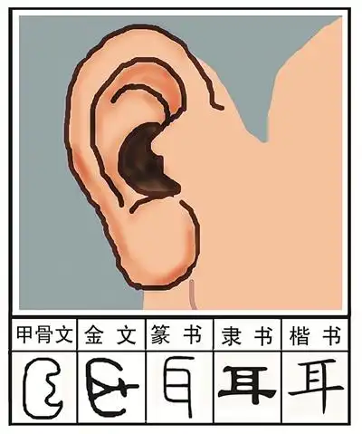 耳_camel2872_poco网(poco.cn)_我的照片我的空间