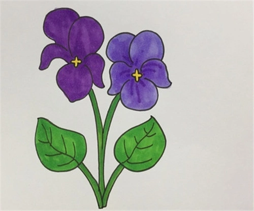 紫罗兰怎么画简单好看相关文章:★美丽的花简笔画大全★简单好看的