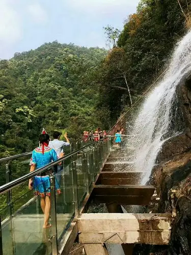 2019九龙江国家森林公园_旅游攻略_门票_地址_游记点评,郴州旅游景点