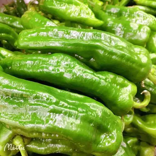 大青椒4.88块一斤