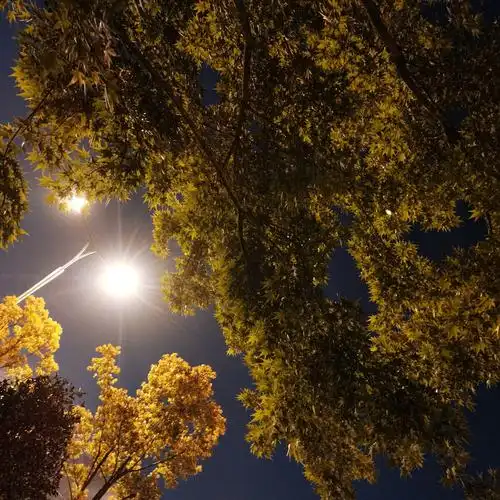 夜晚的灯光下也会有不一样的美