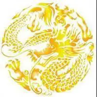 富丽皇堂飞龙真龙微信头像