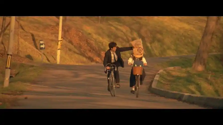 岩井俊二《情书》:爱你是孤单的心事