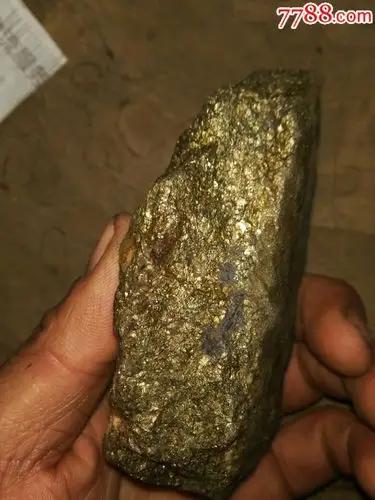 含量极高金矿石