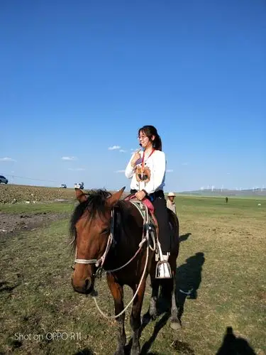 小导游骑马拍照.