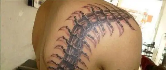 中国十大不能纹的纹身纹两条过肩龙的人都活不过40岁3