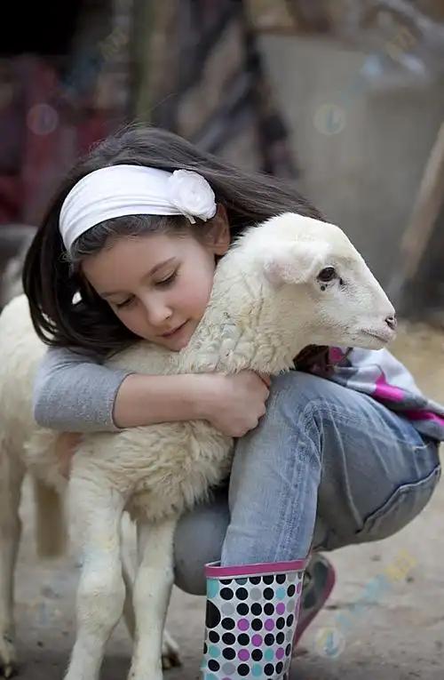 抱着小羊美丽女孩高清图片下载