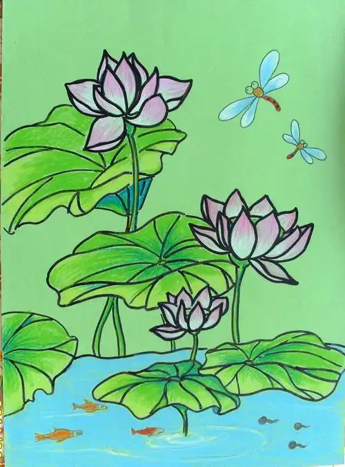 池塘青蛙荷叶简笔画内容|池塘青蛙荷叶简笔画版面设计蝌蚪荷叶图片简