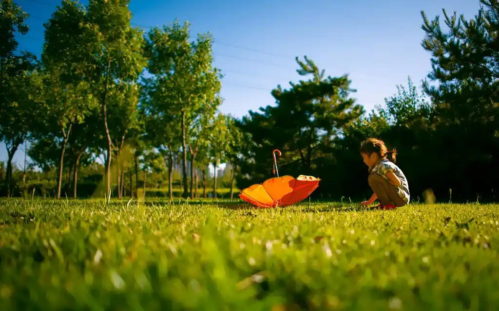 夏天温暖阳光风景壁纸
