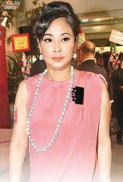 是二太太给大太太请的私人看护,并非仅凭美色上位_陈婉珍_儿子_何鸿燊