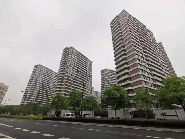 都会森林实景图