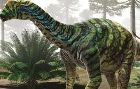 恐龙分类及图片名称图解,各种恐龙的资料介绍大全