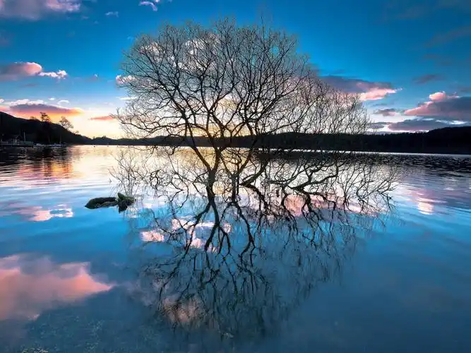 湖泊,树木,水中的倒影,落日 壁纸 - 1024x768