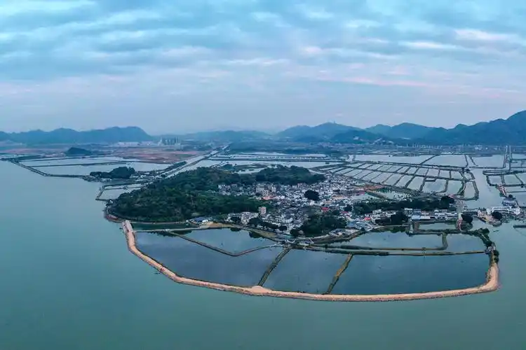 中共汕尾市委宣传部供图晨洲生蚝,陆丰甘薯,海丰丝苗米,陆河油柑